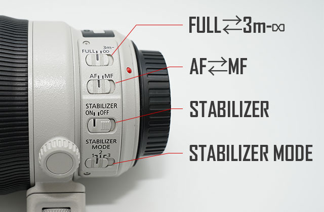 Canon EF100-400mm F4.5-5.6L IS II USM 実写レビュー - カメラ