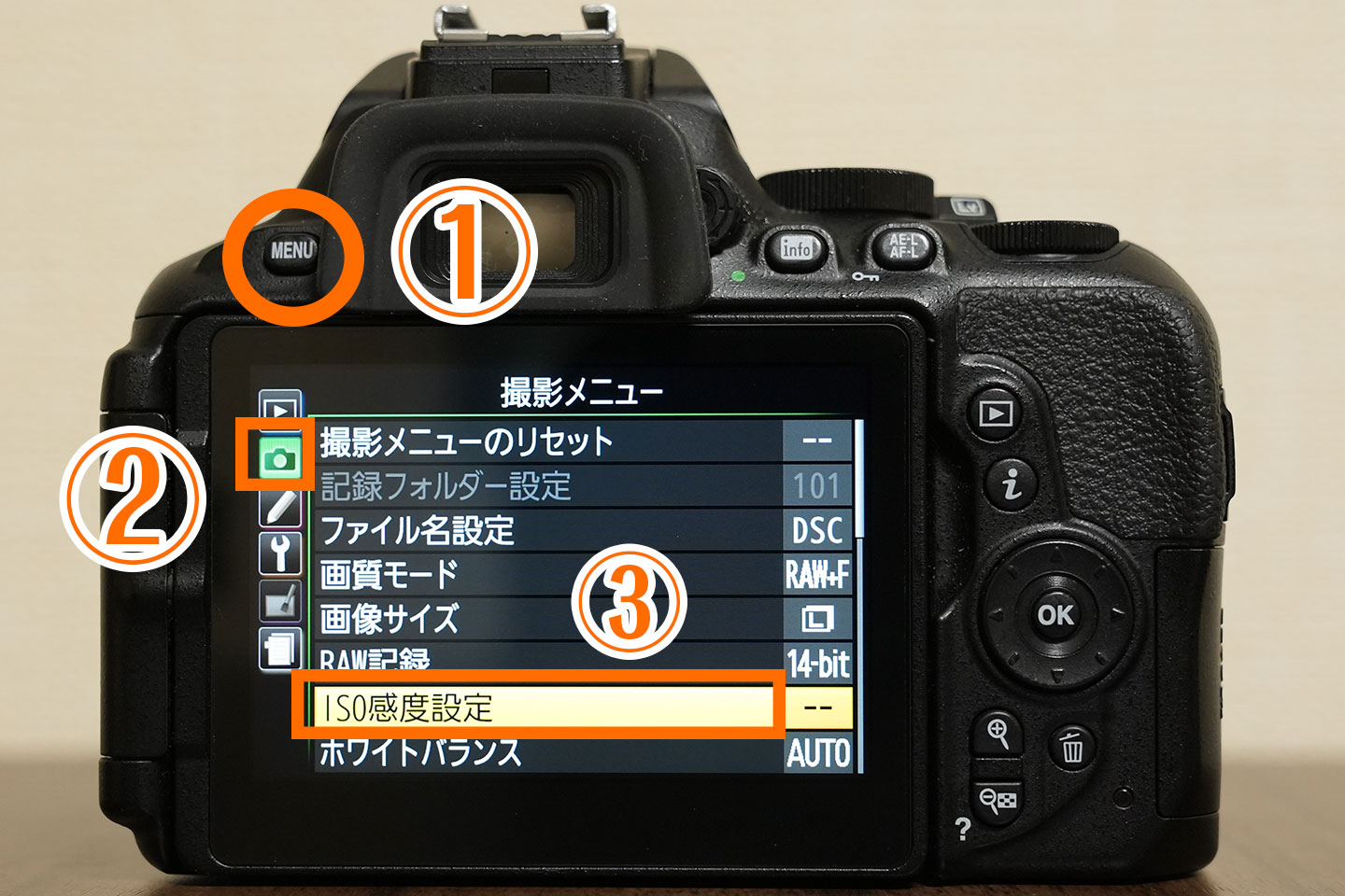 一眼レフNIKON D5600 - デジタル一眼