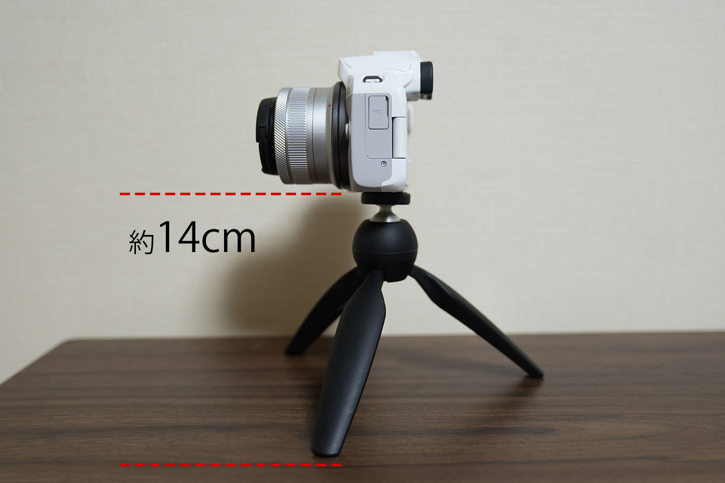 キャノンEF 50mm F1.8 ⅡとSTM ボケ味ある単焦点レンズ比較レビュー ...