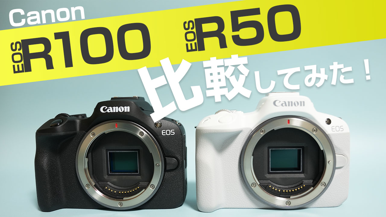 Canon EOS R100とEOS R50を徹底比較レビューしてみた - レビューから
