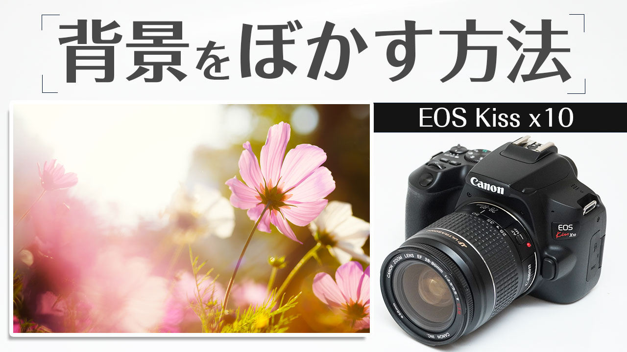 Canon Kiss N☆シンプルな機能☆カメラの操作を楽しみたい方に☆3035