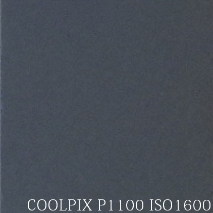 P1100