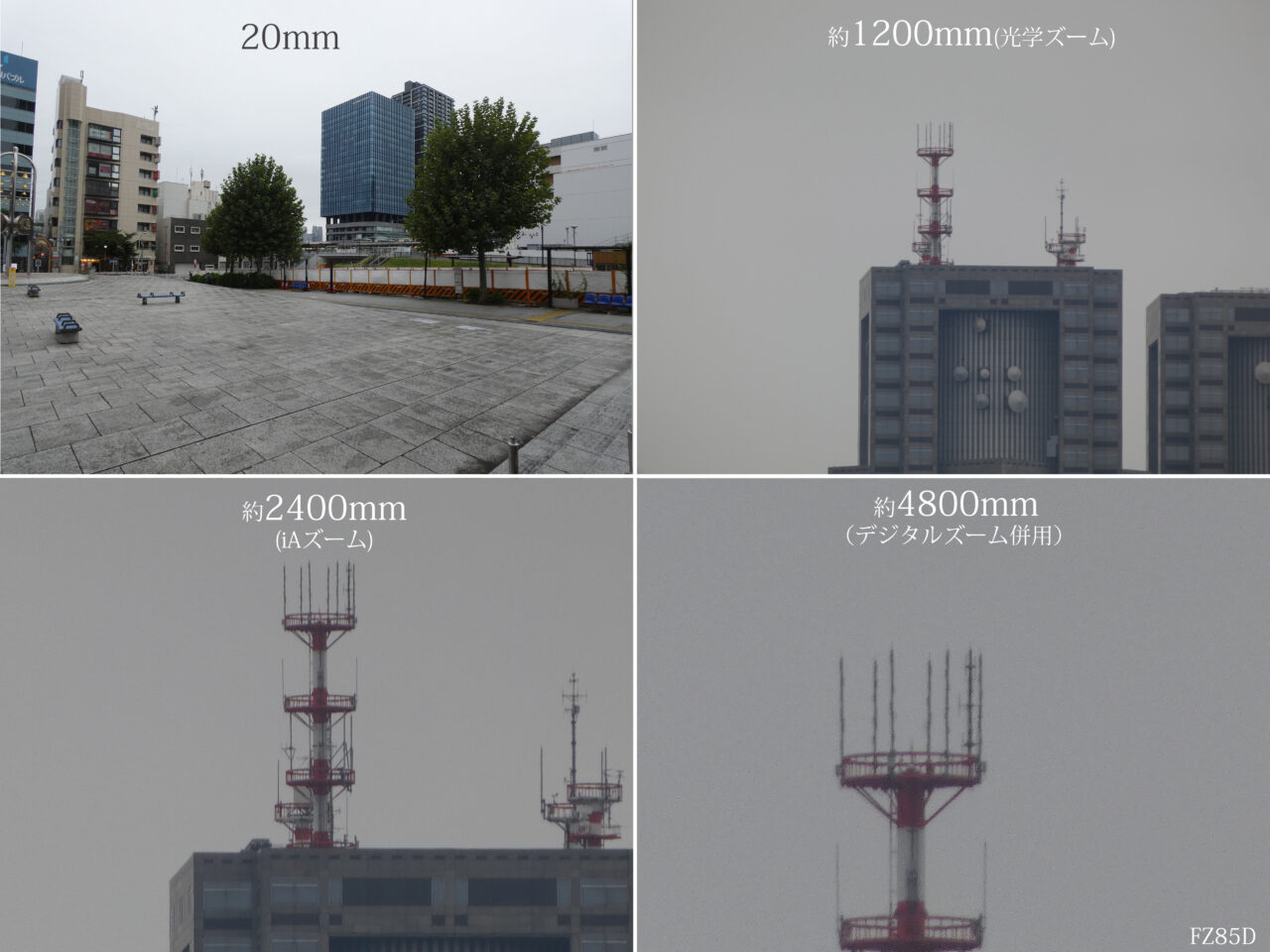 Panasonic LUMIX FZ85Dの最大望遠で撮影した写真