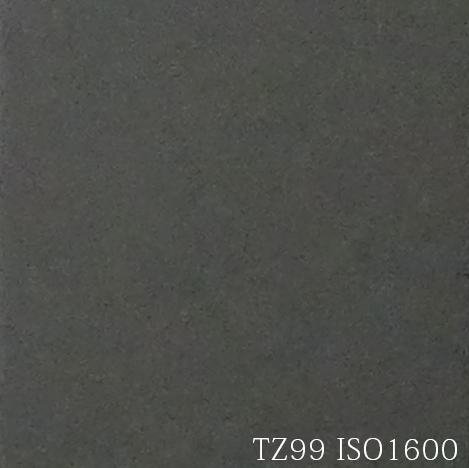 TZ99