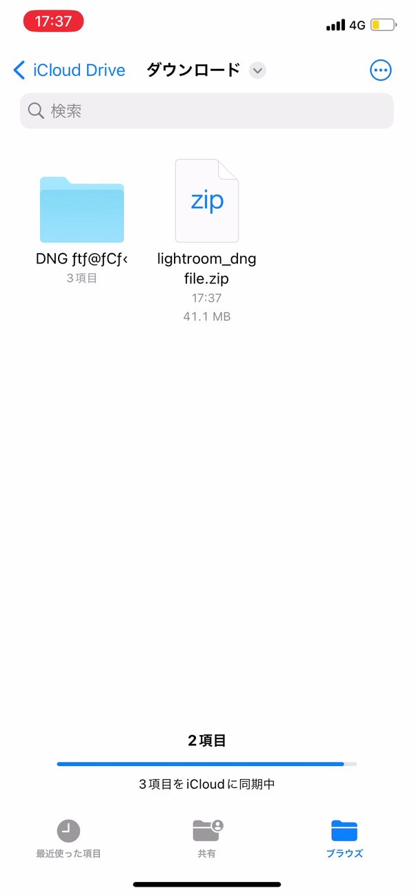 ファイルアプリで解凍したDNGフォルダ